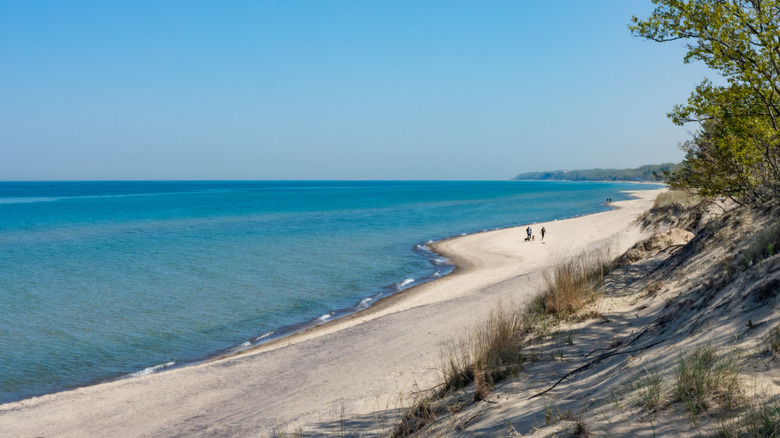 beach at Dunes National Park